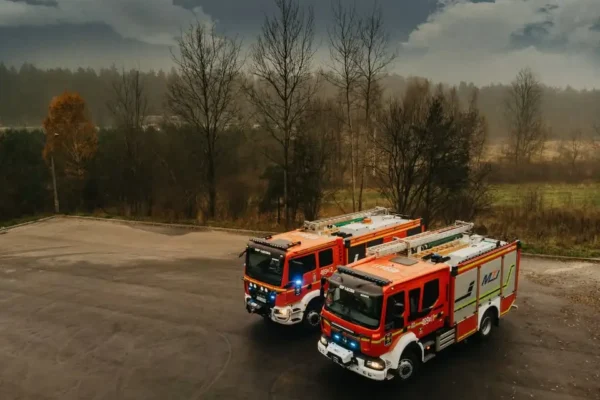 Interwencja OSP Łączna: usuwanie gniazda owadów błonkoskrzydłych w Stawiku