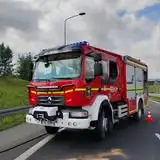 Interwencja OSP Łączna w Podzagnańszczu – usuwanie gniazda owadów błonkoskrzydłych