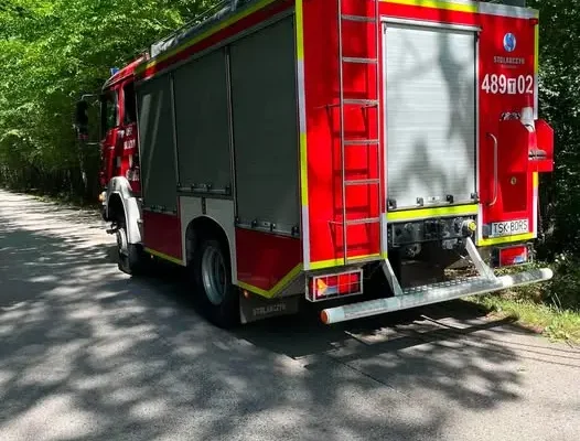 Powalone drzewo w Bliżynie – interwencja strażaków OSP i JRG