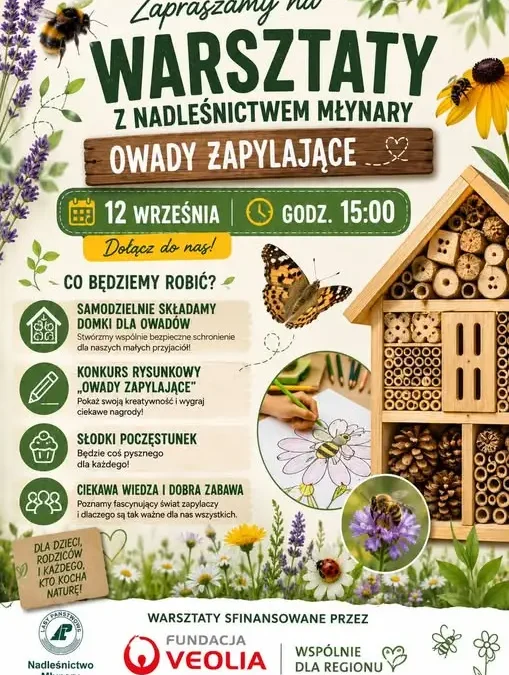 Warsztaty o owadach zapylających w Krosnie – już 12 września