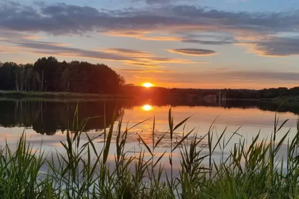Suchedniów zaprasza mieszkańców do konsultacji Planu adaptacji do zmian klimatu