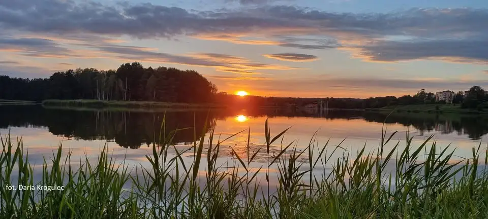 Suchedniów zaprasza mieszkańców do konsultacji Planu adaptacji do zmian klimatu