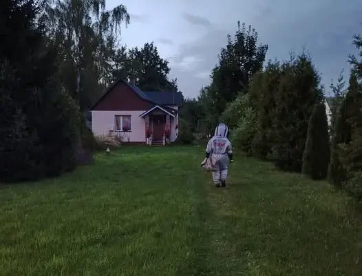 Gniazdo owadów w Suchedniowie – interwencja OSP