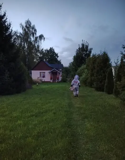 Gniazdo owadów w Suchedniowie – interwencja OSP