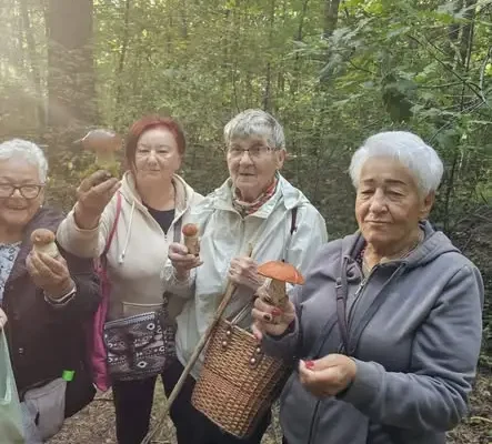 Wspólne grzybobranie w Skarżysku-Kamiennej – wolontariusze i młodzież razem w lesie