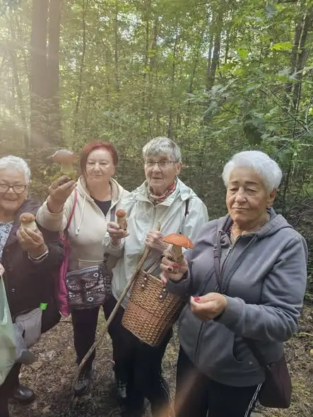 Wspólne grzybobranie w Skarżysku-Kamiennej – wolontariusze i młodzież razem w lesie