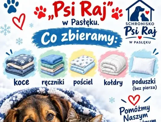 Zbiórka rzeczy dla schroniska „Psi Raj” w Pasłęku – pomóż czworonogom