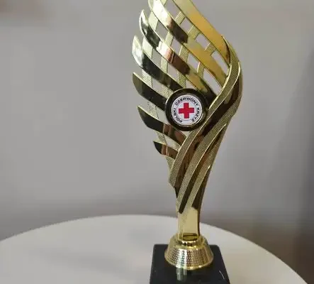 Szkoła Podstawowa nr 1 w Skoczowie zwycięzcą „Gorączki Złota PCK”